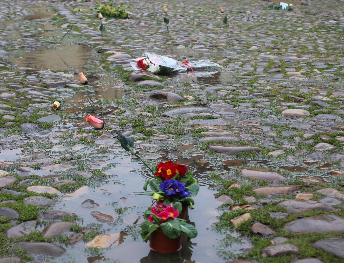 Flores reivindicativas