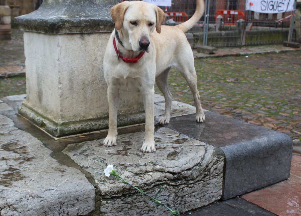 Flores reivindicativas