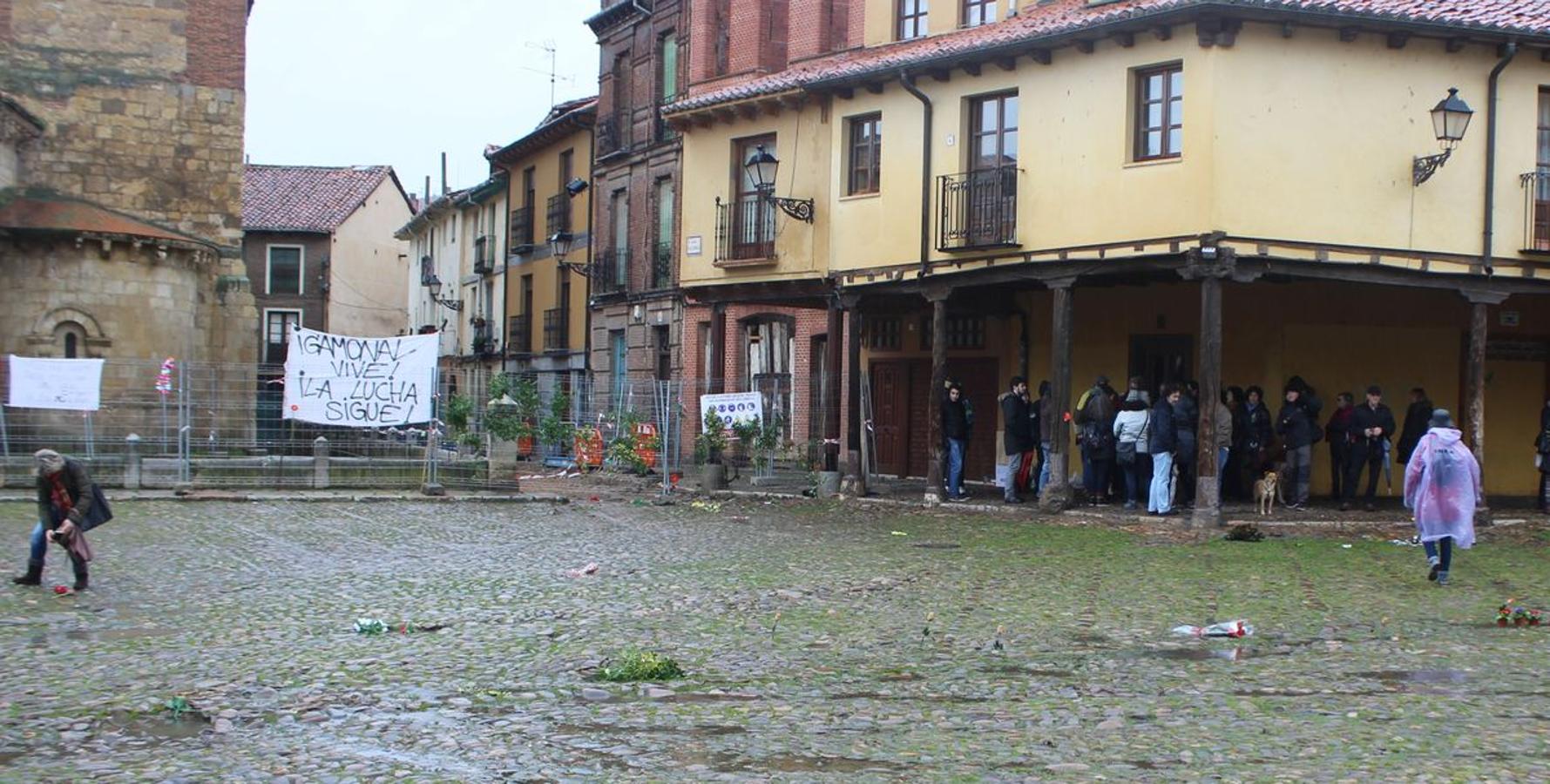 Flores reivindicativas