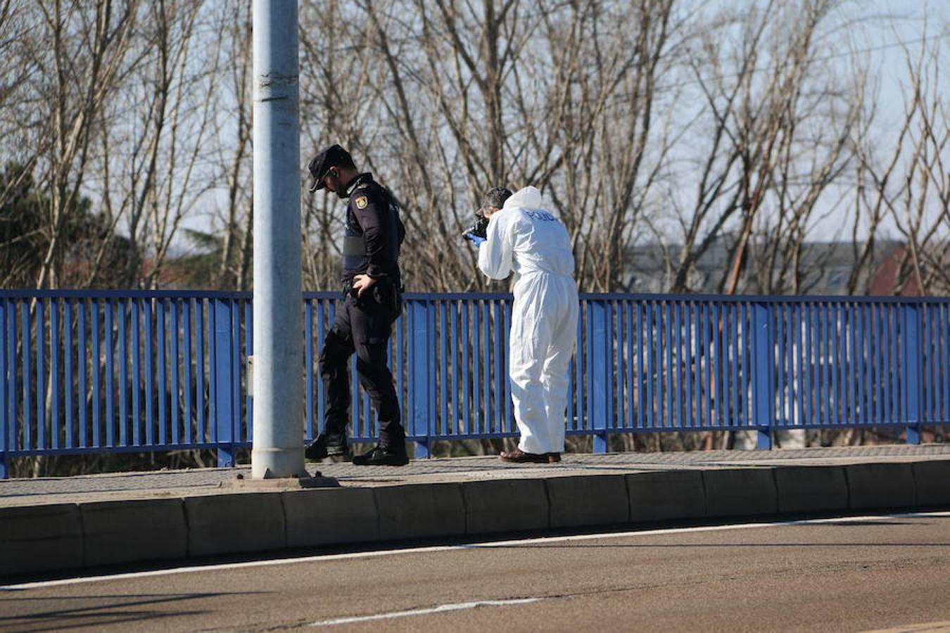 Triste final para la búsqueda de Iván