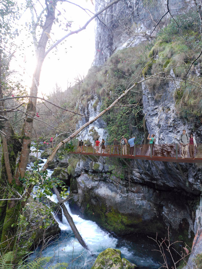 Balcones a la Naturaleza