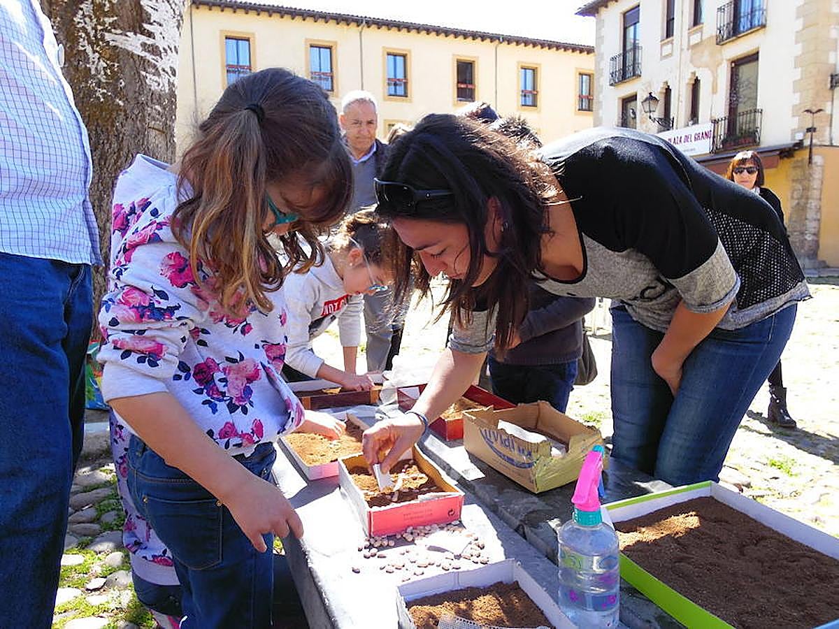 Los niños toman la Plaza del Grano