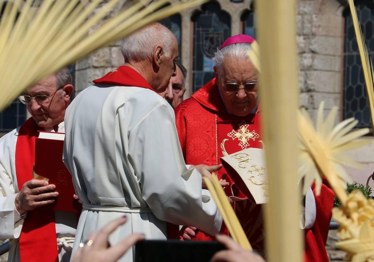 Procesión de las Palmas
