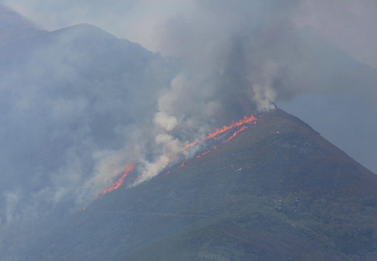 Incendio en el Bierzo