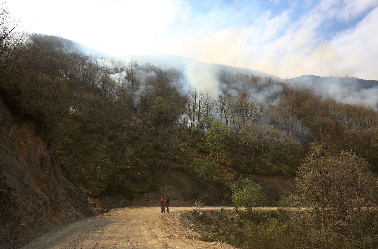 Incendio en el Bierzo