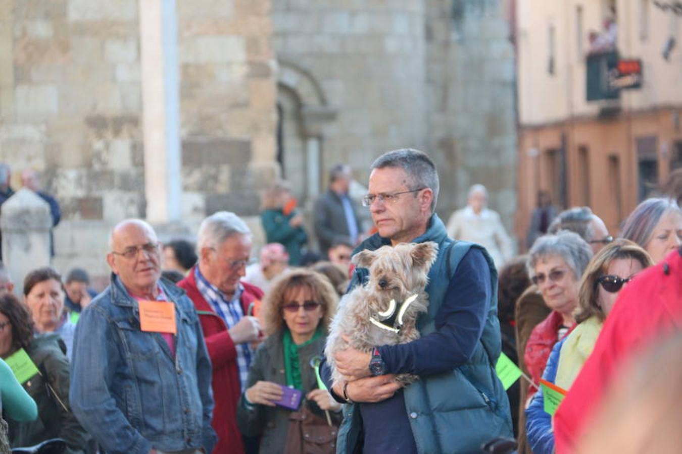 «Guardianes de la Plaza del Grano»