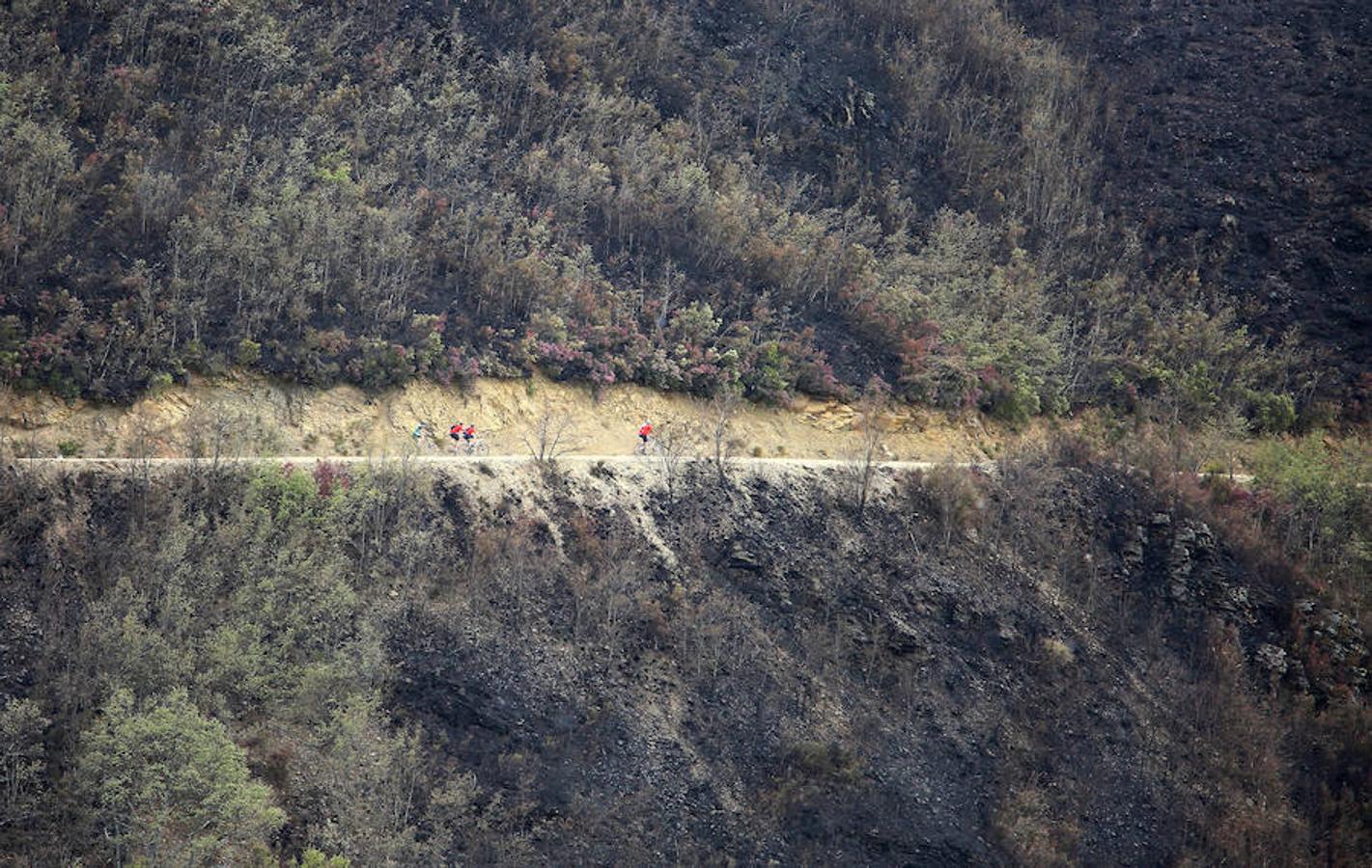 Suárez-Quiñones visita el incendio de Bouzas