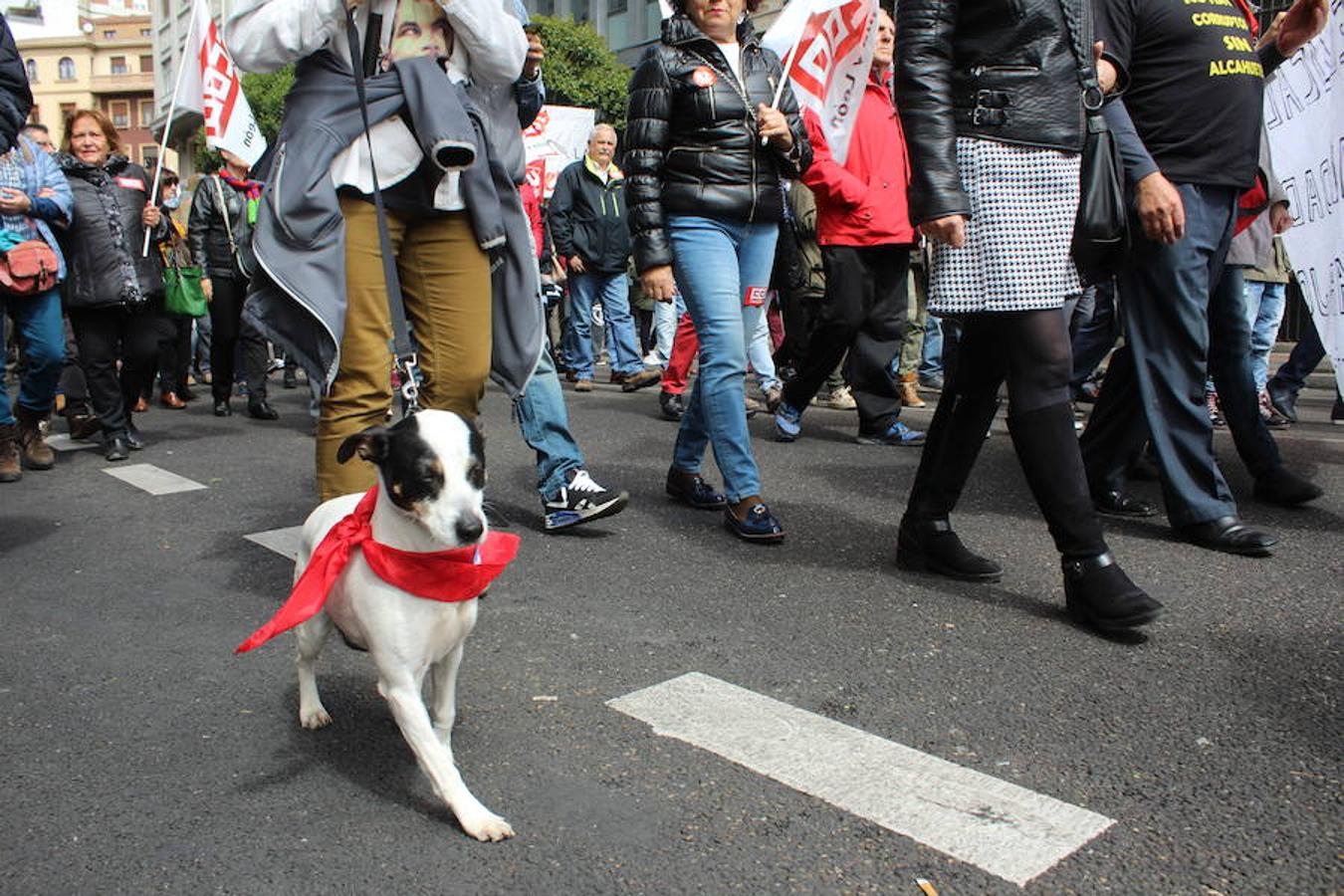 Las imágenes de la manifestación