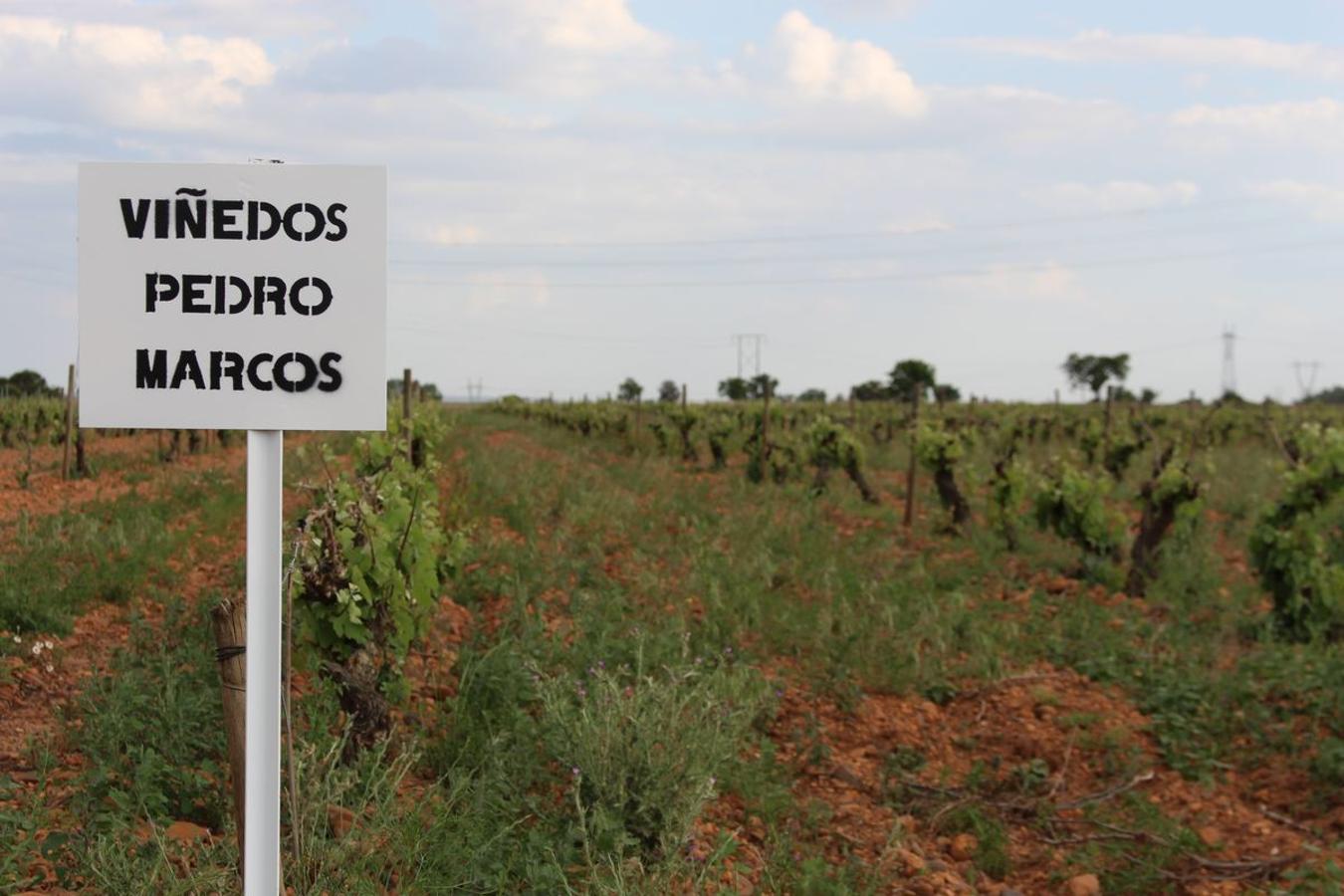 Cuarta generación, la misma pasión