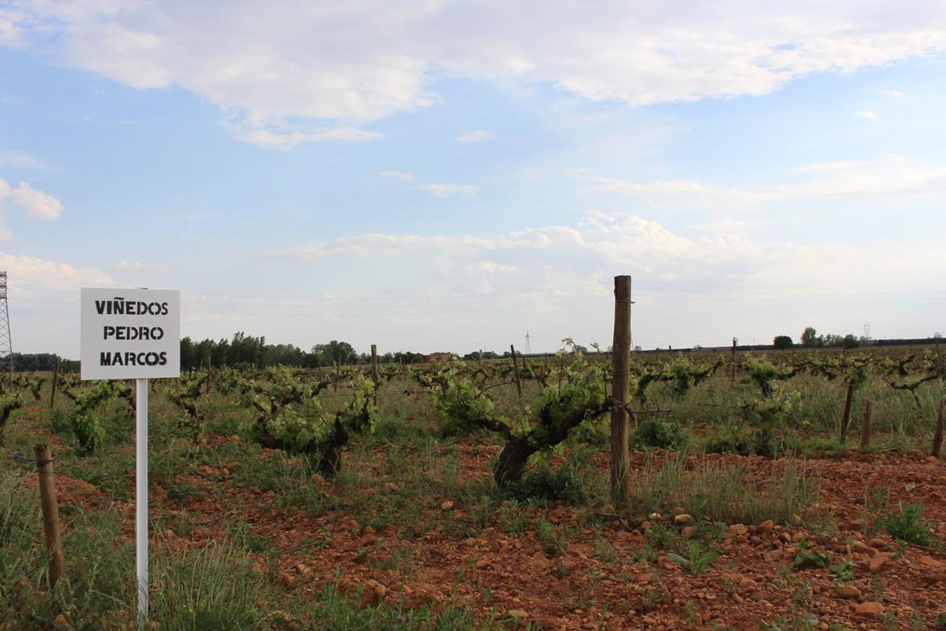 Cuarta generación, la misma pasión