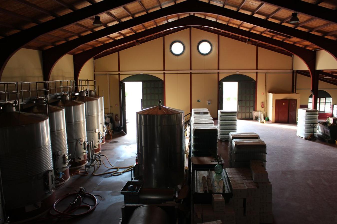 Cuarta generación, la misma pasión