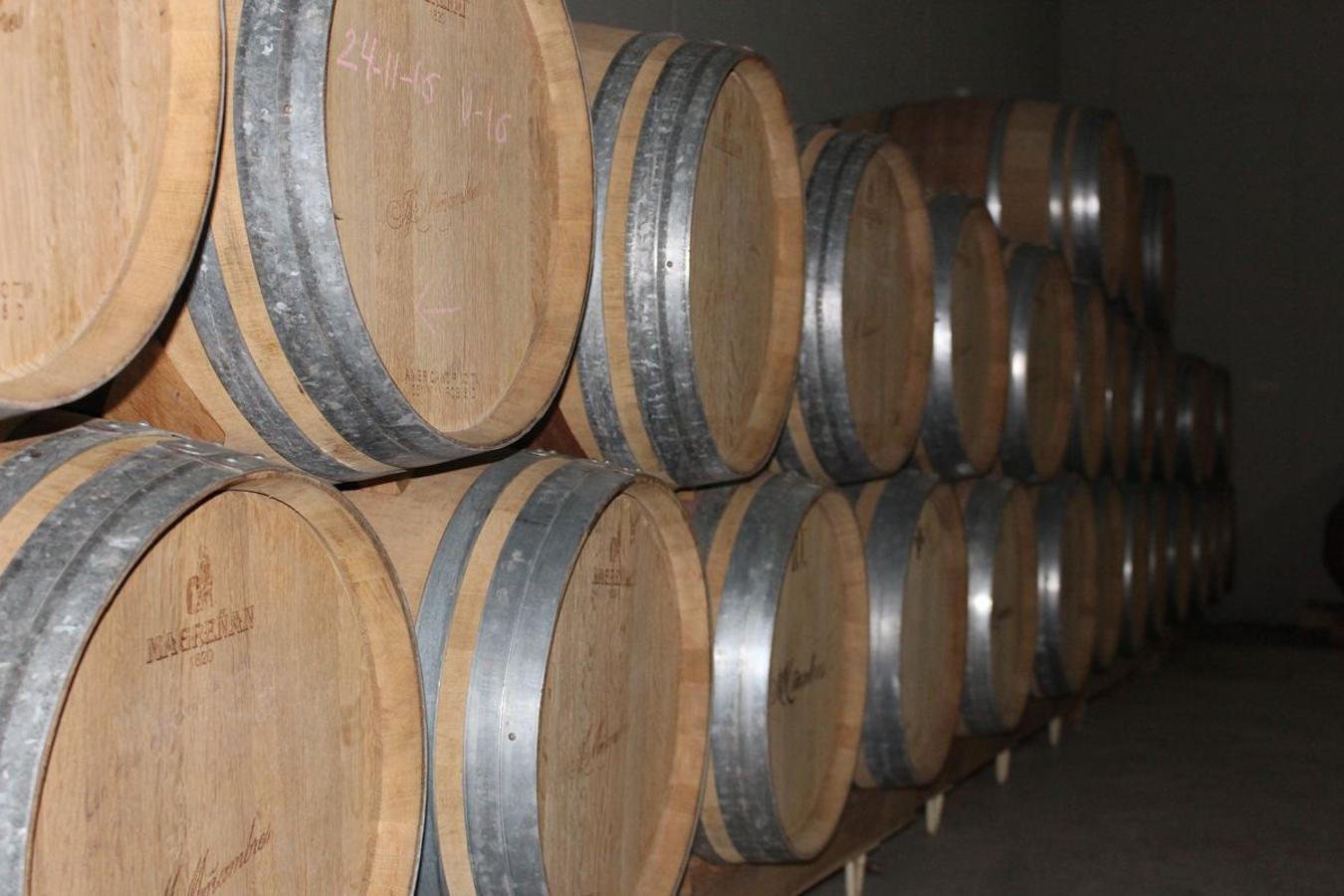 Cuarta generación, la misma pasión