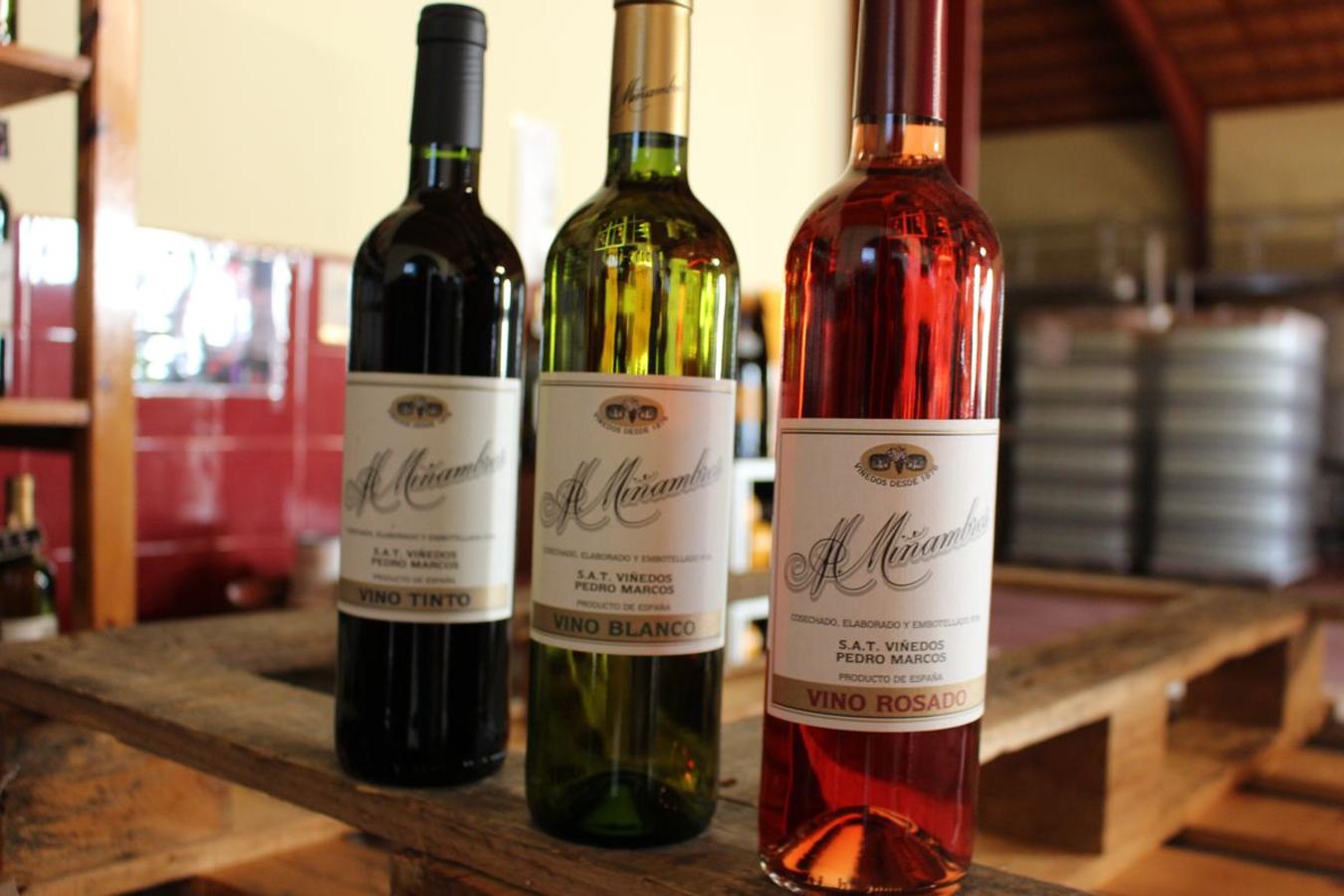 Cuarta generación, la misma pasión