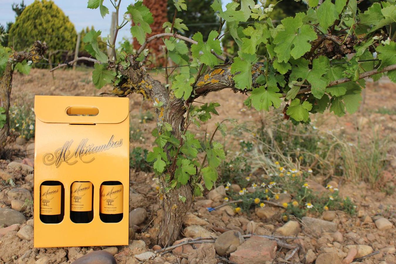 Cuarta generación, la misma pasión