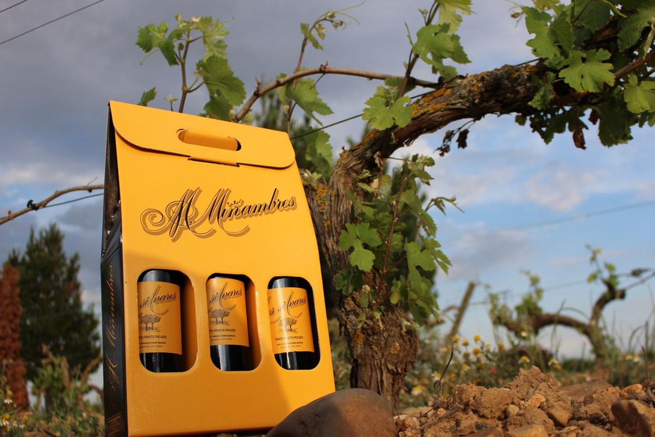 Cuarta generación, la misma pasión