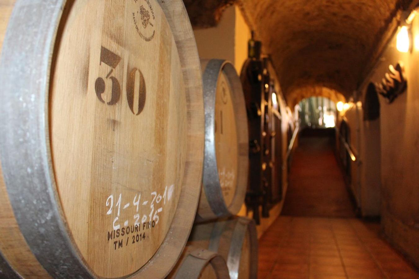 Tradición y saber hacer