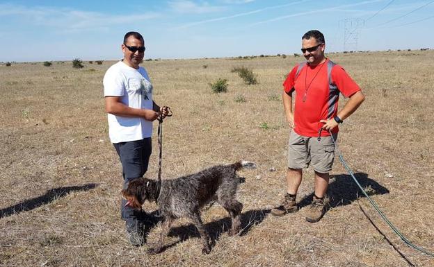 Imagen principal - Los cazadores se instruyen junto a su perro de muestra para practicar una caza más responsable