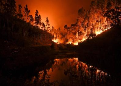 Imagen secundaria 1 - El fuego asola Portugal.