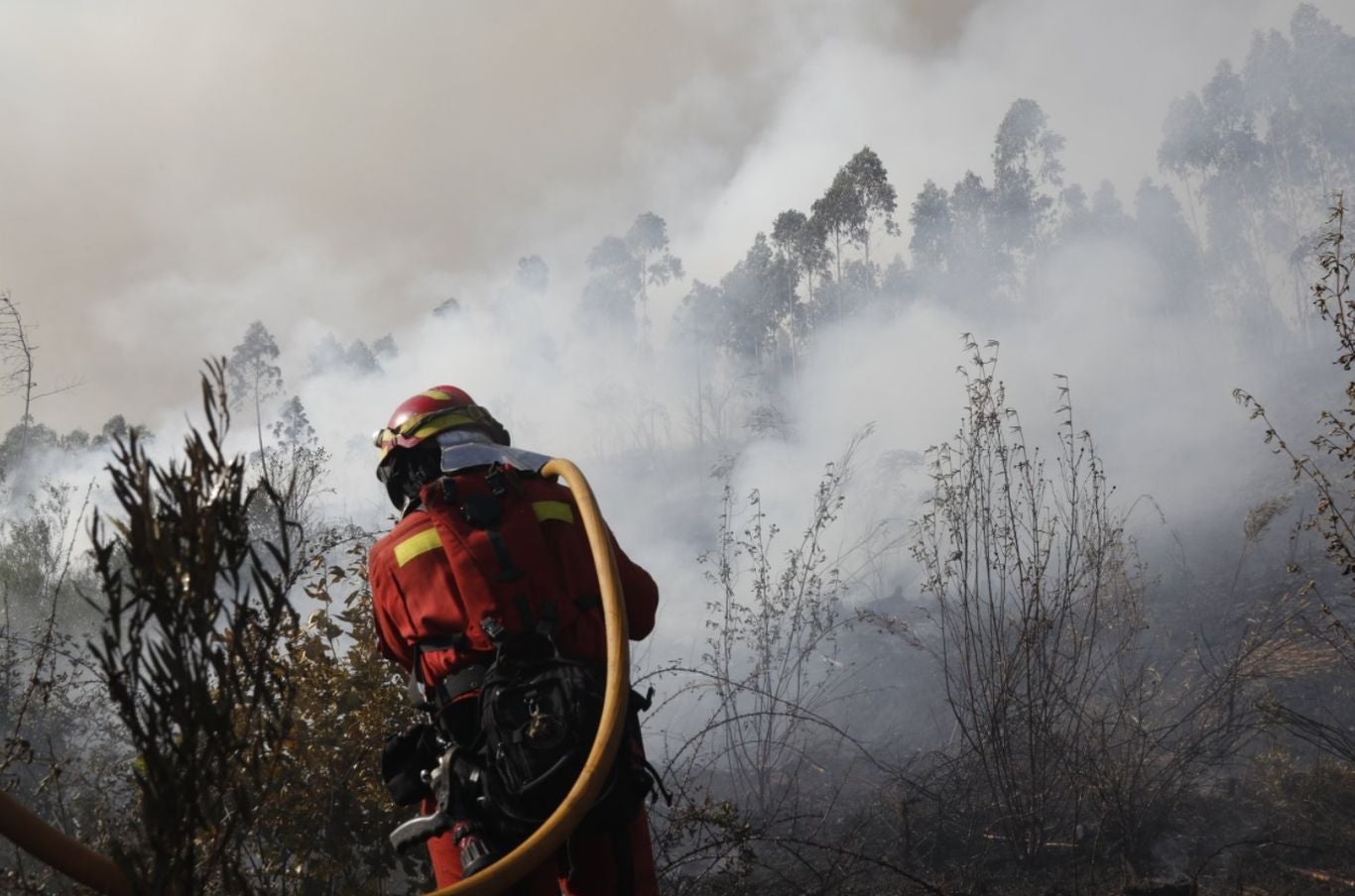 Los efectivos leoneses auxilian a Portugal atacando un frente situado a 20 kilómetros al sur de Coimbra en la localidad de Cernache do Bonjardim | Allí han logrado remitir el avance de las llamas