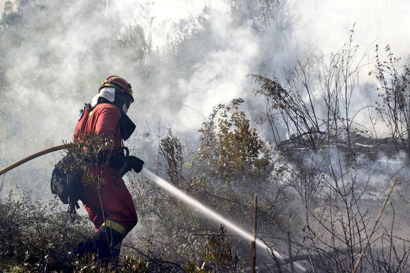 Los efectivos leoneses auxilian a Portugal atacando un frente situado a 20 kilómetros al sur de Coimbra en la localidad de Cernache do Bonjardim | Allí han logrado remitir el avance de las llamas