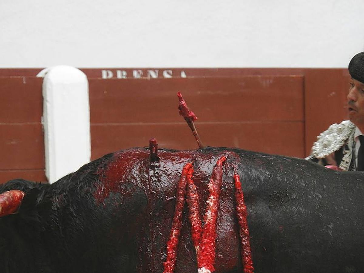 Las mejores imágenes de la corrida de rejones (I)