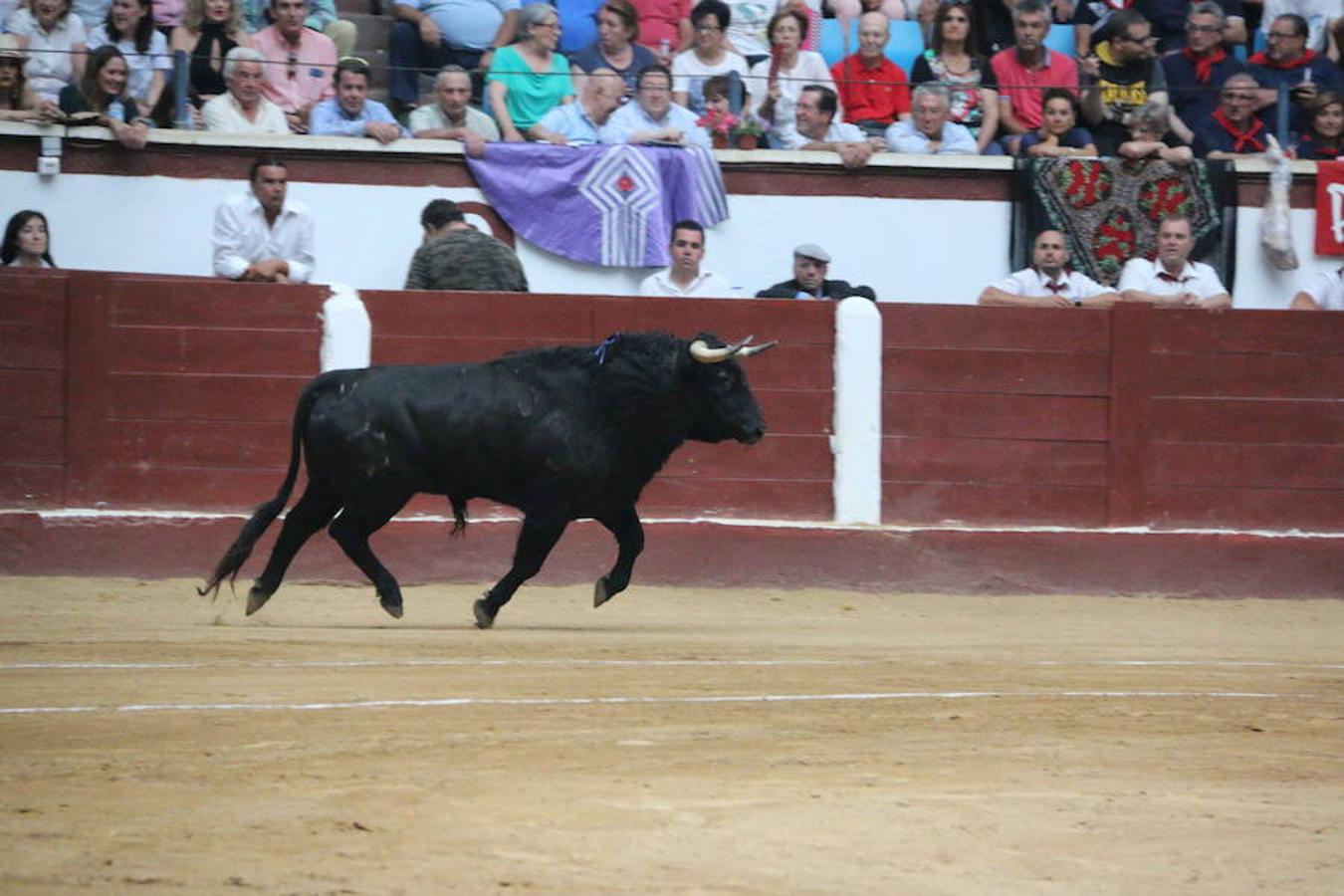 Las mejores imágenes de la corrida de toros de Fiestas de San Juan y San Pedro