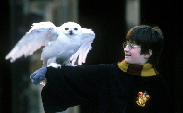 Escena de 'Harry Potter y la piedra filosofal'.