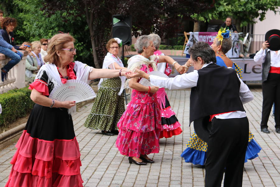 Ritmo flamenco en León