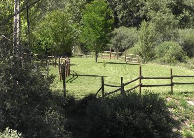 Imagen secundaria 1 - Los espacios verdes abundan en Valdelugueros.