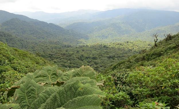 Costa Rica.