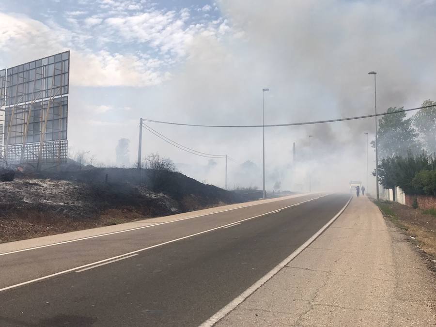 Incendio en Cantamilanos