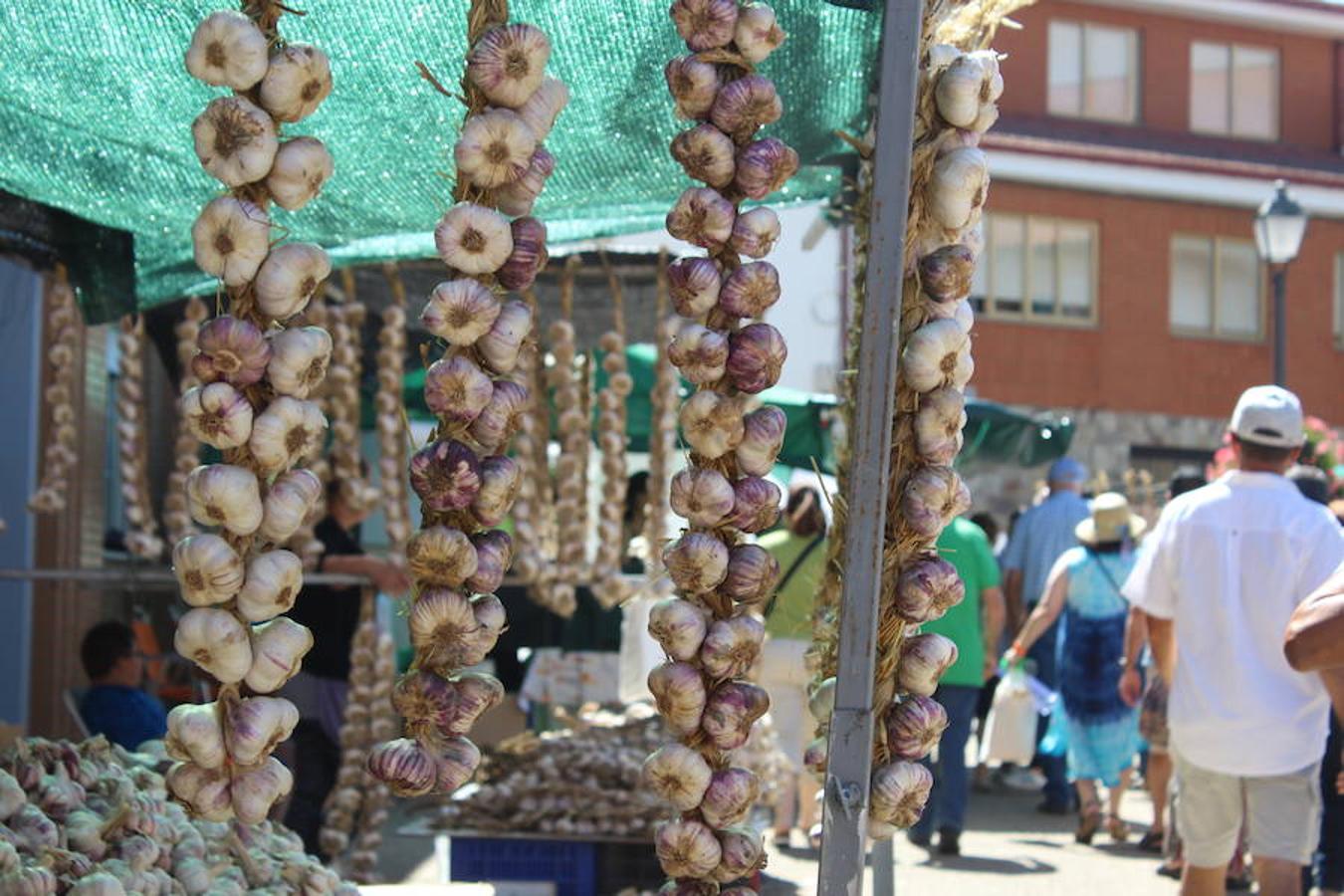 Las mejores imágenes de la Feria del Ajo de Veguellina