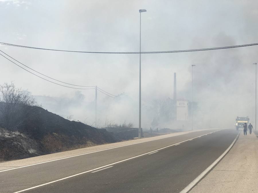 Imágenes del Incendio que amenazó el norte de León I