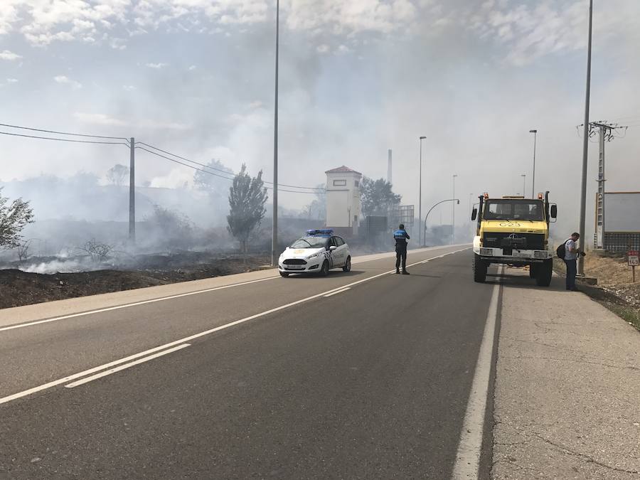 Imágenes del Incendio que amenazó el norte de León I