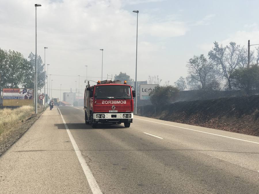 Imágenes del Incendio que amenazó el norte de León I