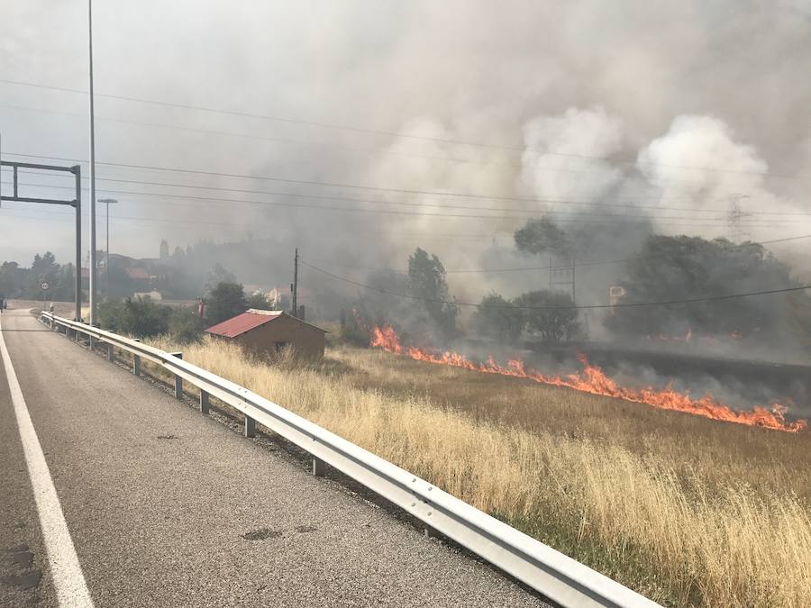 Imágenes del Incendio que amenazó el norte de León I