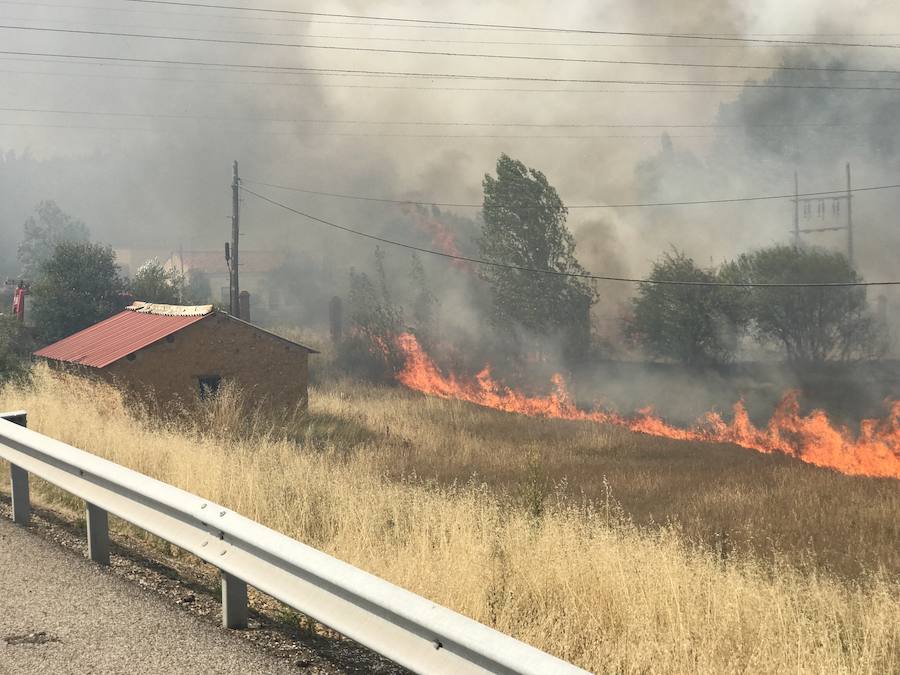 Imágenes del Incendio que amenazó el norte de León I