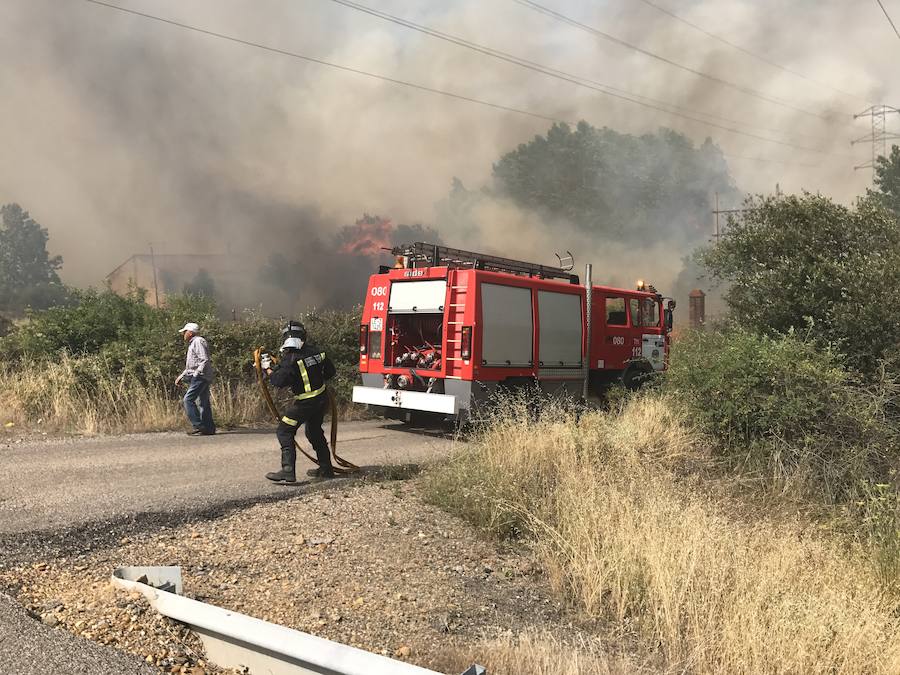 Imágenes del Incendio que amenazó el norte de León I