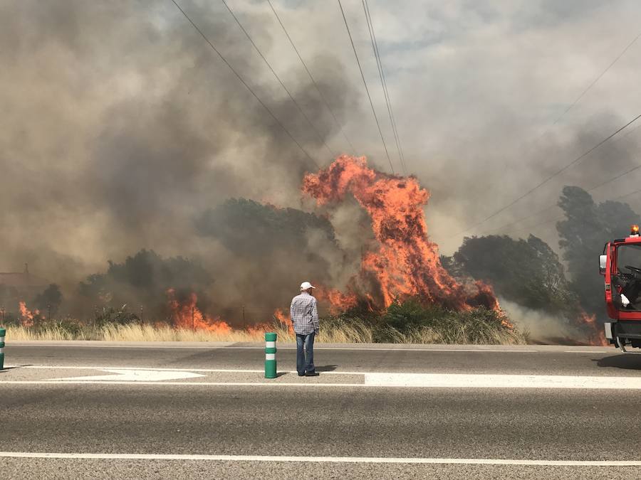 Imágenes del Incendio que amenazó el norte de León I