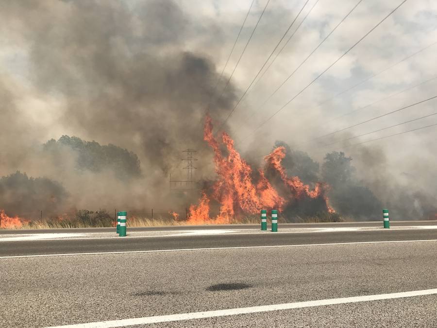 Imágenes del Incendio que amenazó el norte de León I