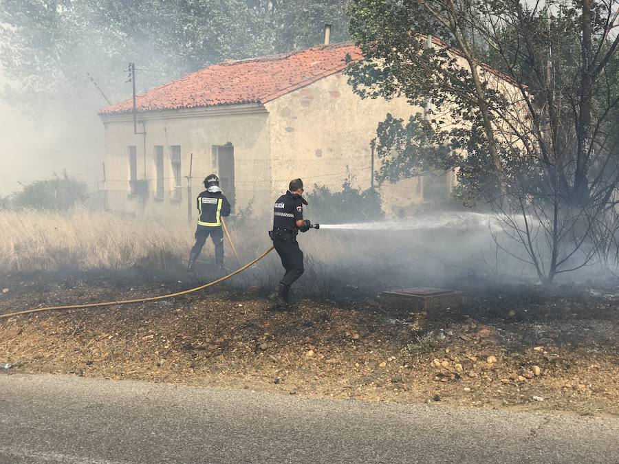 Imágenes del Incendio que amenazó el norte de León II