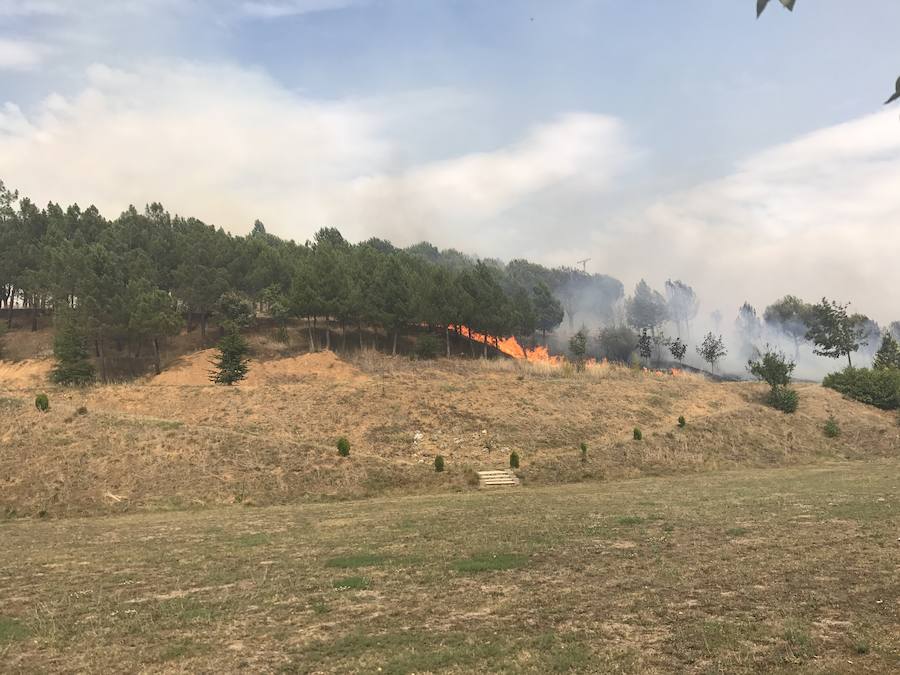 Imágenes del Incendio que amenazó el norte de León II