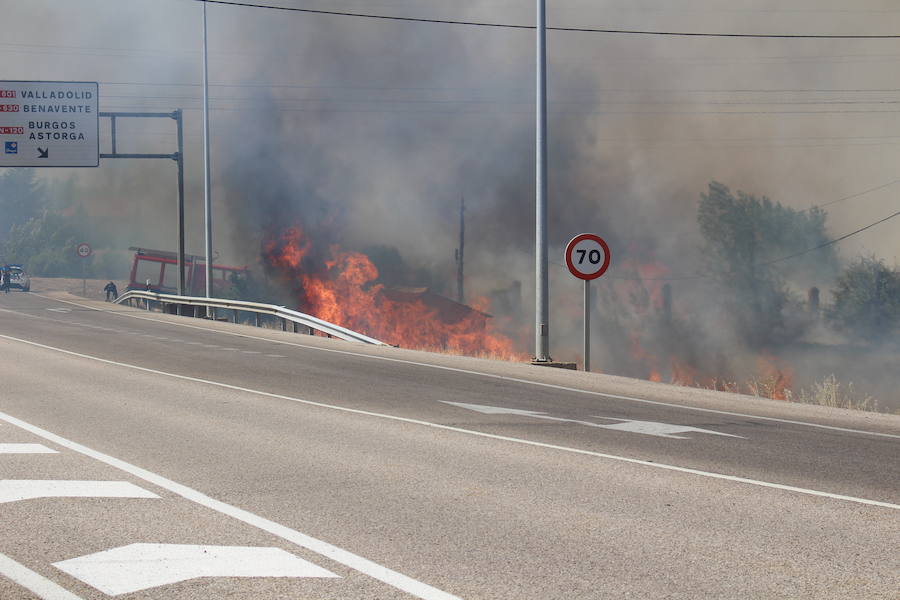 Imágenes del Incendio que amenazó el norte de León IV