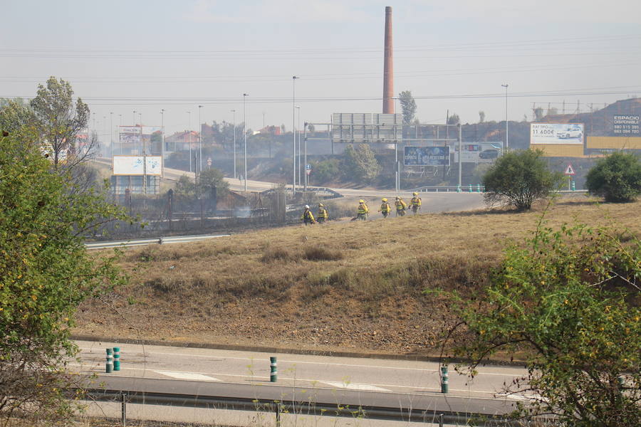 Imágenes del Incendio que amenazó el norte de León IV