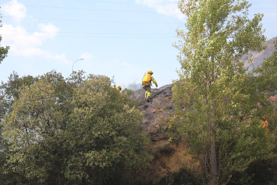 Imágenes del Incendio que amenazó el norte de León IV