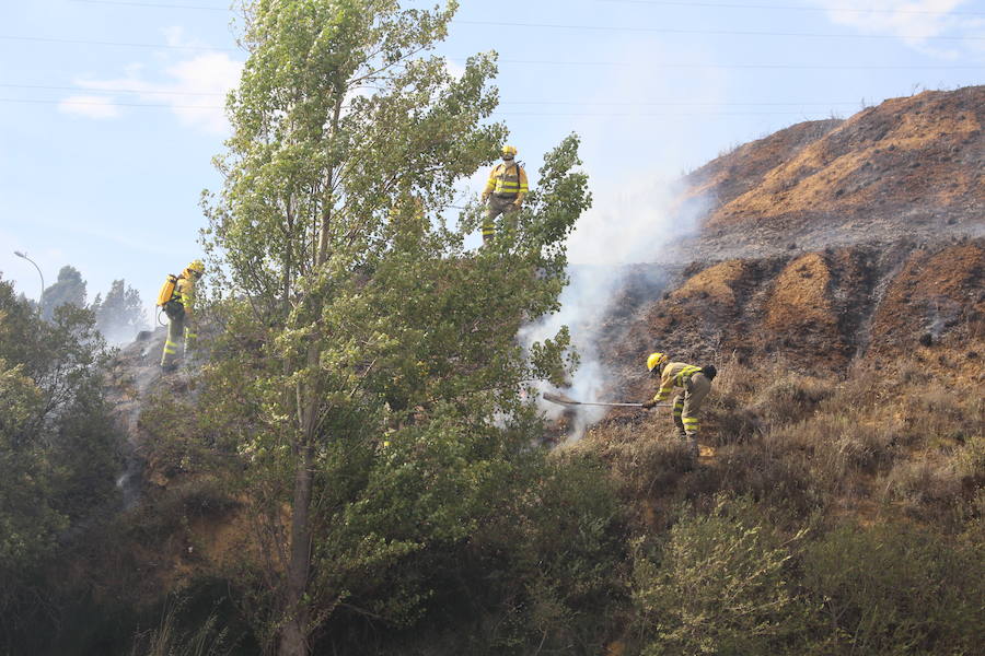 Imágenes del Incendio que amenazó el norte de León IV