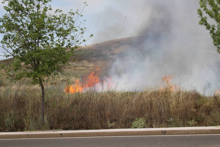 Imágenes del Incendio que amenazó el norte de León IV