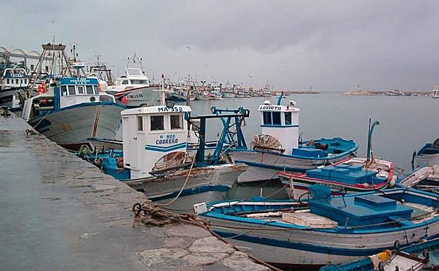 Vista parcial del puerto pesquero de Estepona.