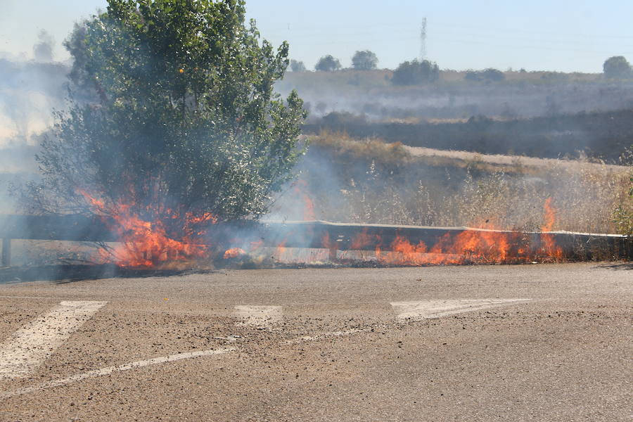 El fuego se ha originado minutos antes de las 16:21 horas en la calle de Valdeperal que conecta el Real Aéreo Club con la carretera del matadero en el polígono industrial de Trobajo del Camino, concretamente en la parte trasera de la vacía factoría de Everest, que se ha visto seriamente amenazada por las llamas