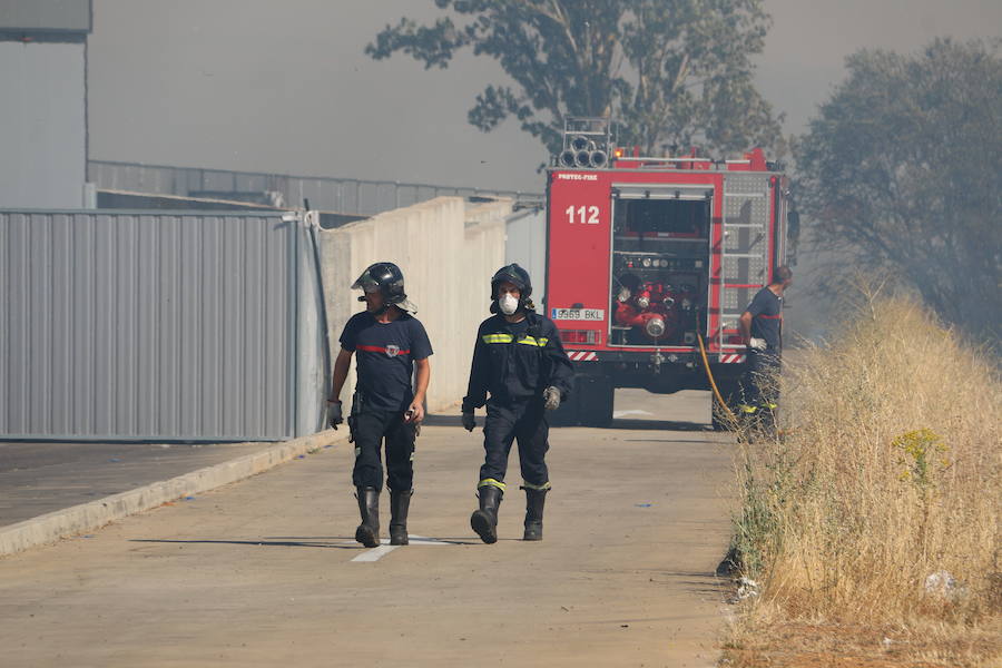 El fuego se ha originado minutos antes de las 16:21 horas en la calle de Valdeperal que conecta el Real Aéreo Club con la carretera del matadero en el polígono industrial de Trobajo del Camino, concretamente en la parte trasera de la vacía factoría de Everest, que se ha visto seriamente amenazada por las llamas